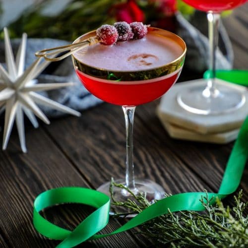 Cranberry Pisco Sour