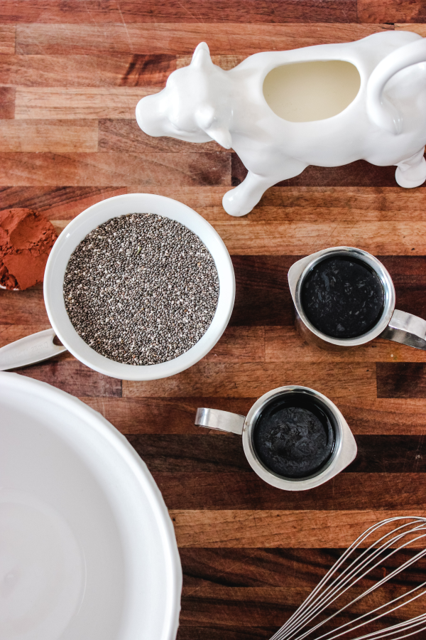 Low Carb Mexican Mocha Chia Pudding 