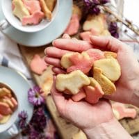 Keto-Frosted-Animal-Cookies-9