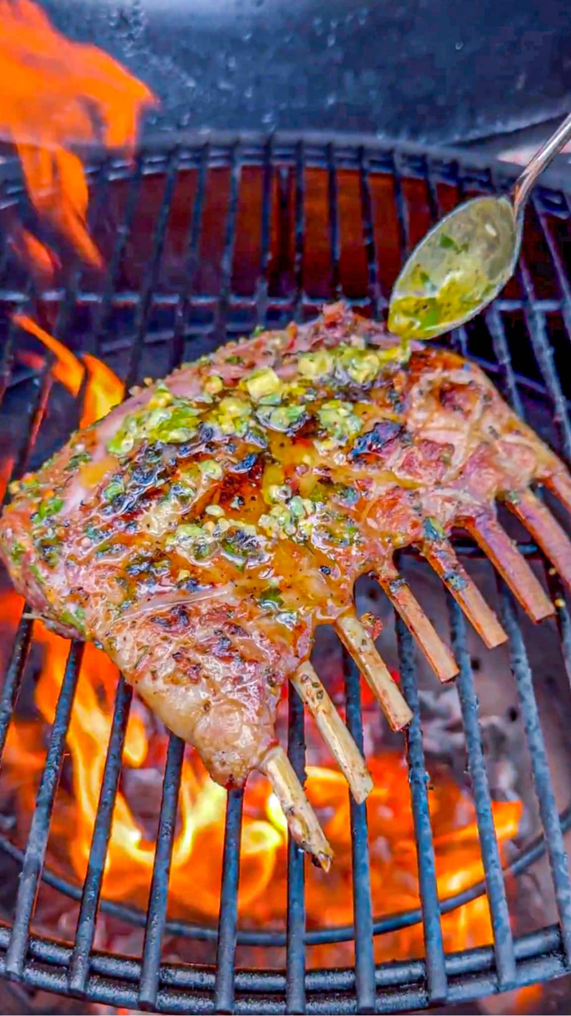 Grilled Rack of Lamb Recipe