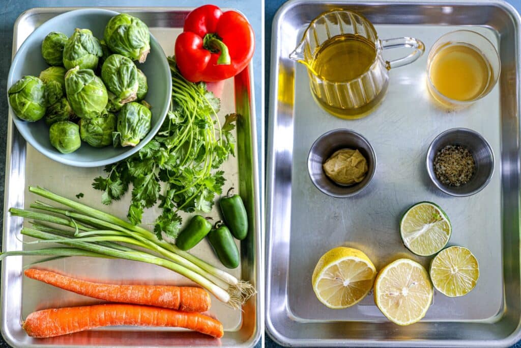 Ingredients for Brussels Sprout Coleslaw Recipe