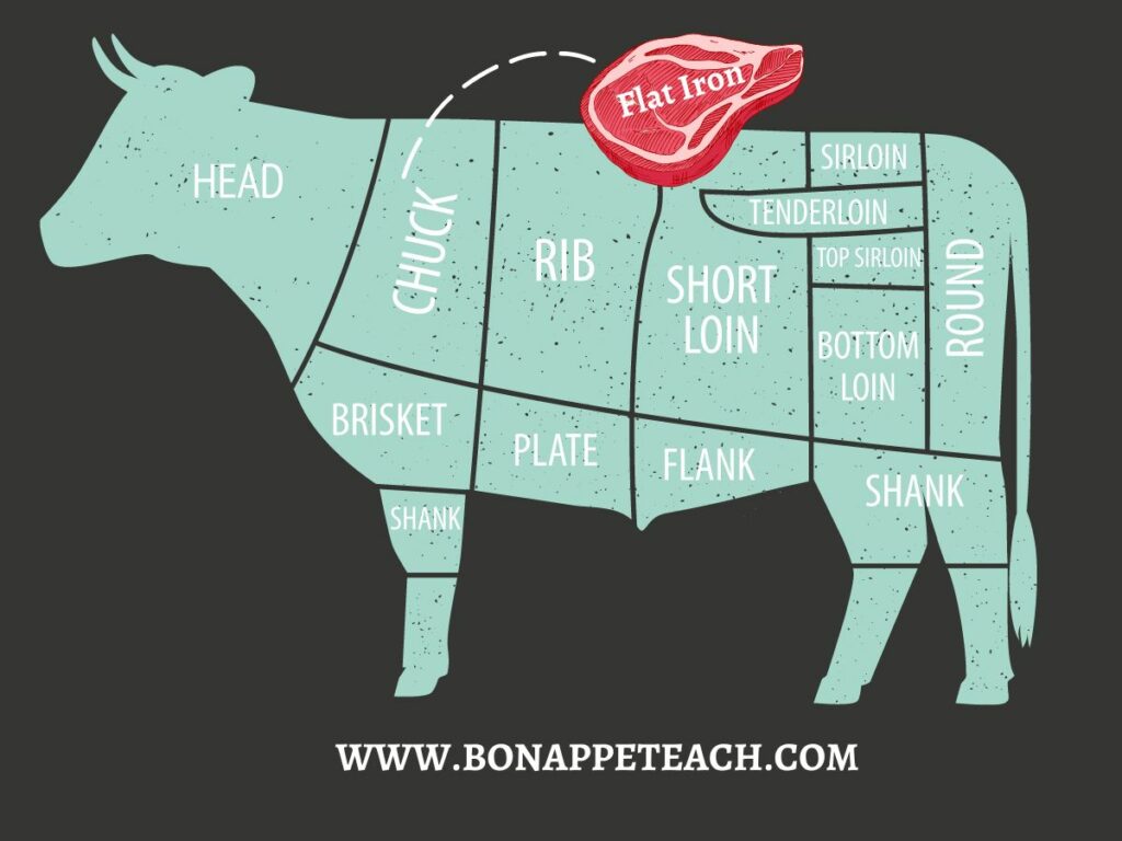 Cow graphic showing where flat Iron steak comes from