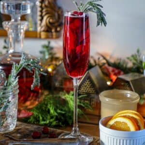 Cranberry Spritzer Recipe