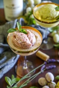 Grape Sorbet Recipe 