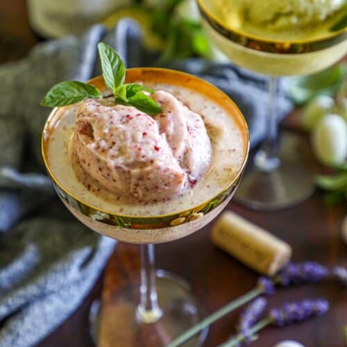 Grape Sorbet Recipe 