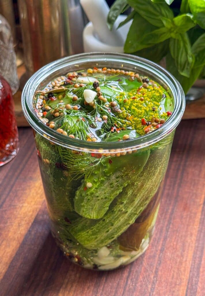 Fermented Pickles 