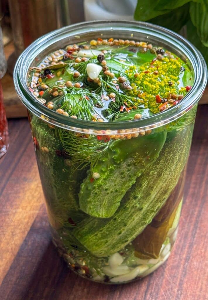 Fermented Pickles 