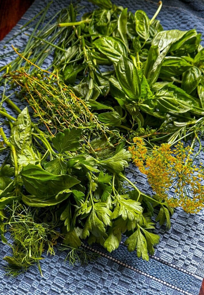 Washing all the fresh herbs