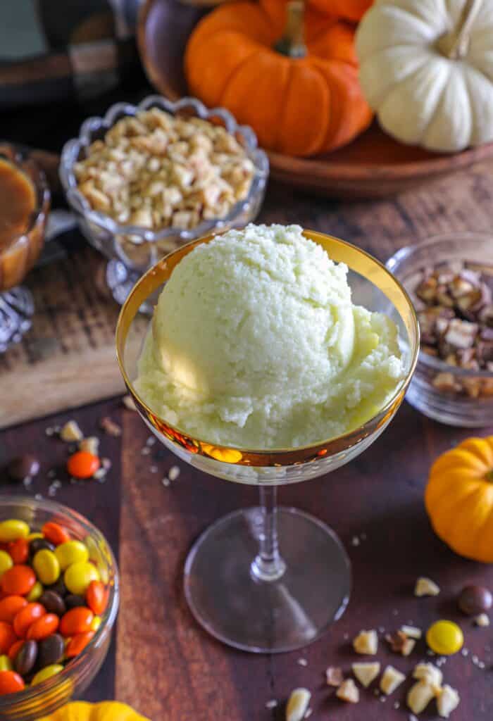 apple sorbet in a pretty martini glass