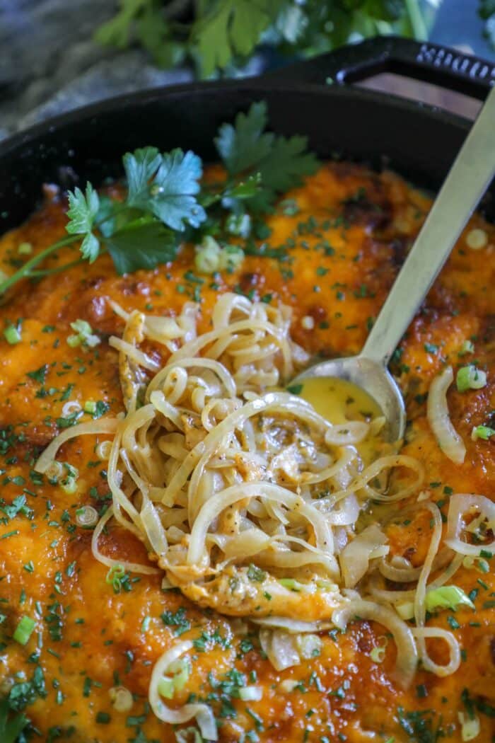 Tennessee Onions Recipe